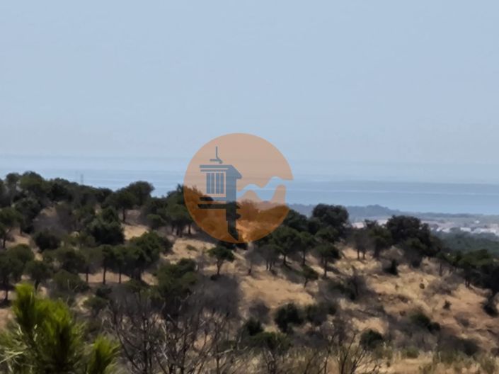 Image No.39-Ferme à vendre à Vila Real de Santo António