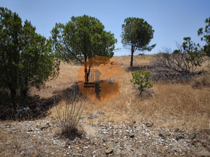 Image No.19-Plot for sale