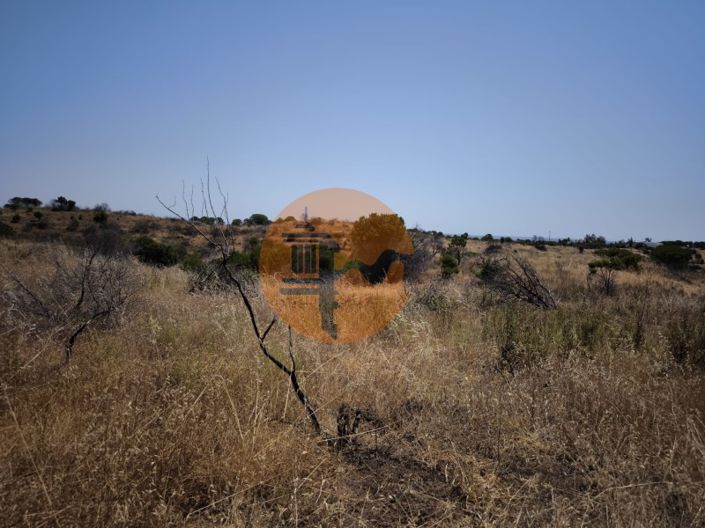 Image No.32-Plot for sale