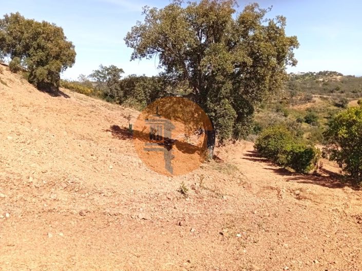 Image No.4-Plot for sale