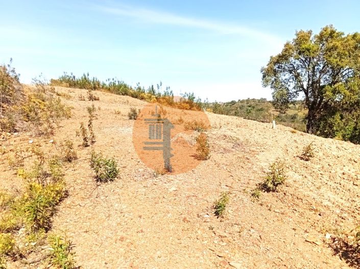 Image No.7-Plot for sale