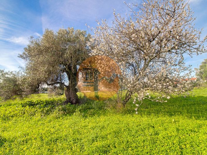 Image No.49-Terrain à vendre à Vila Real de Santo António