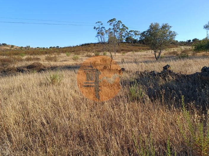 Image No.13-Commercial for sale