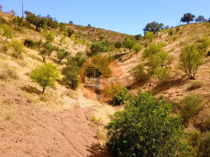 Image No.14-Commercial à vendre à Castro Marim