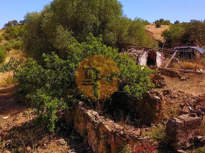 Image No.15-Commercial à vendre à Castro Marim