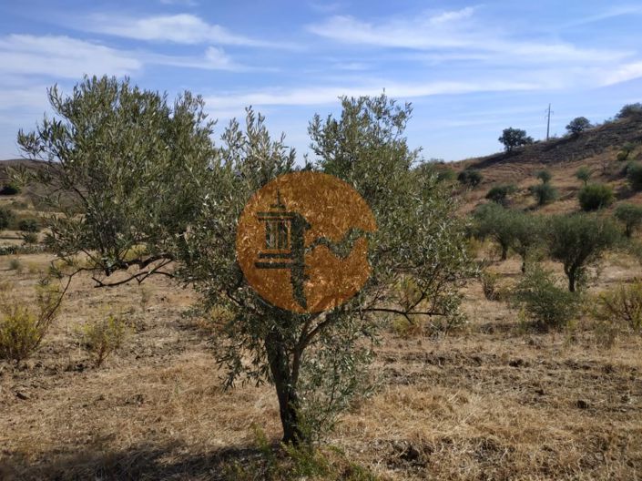 Image No.26-Commercial à vendre à Castro Marim