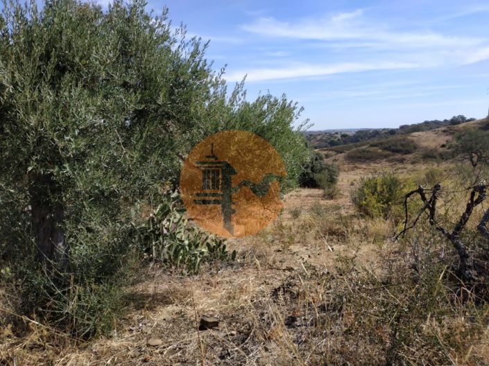 Image No.30-Commercial à vendre à Castro Marim