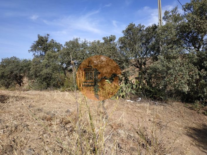 Image No.31-Commercial à vendre à Castro Marim