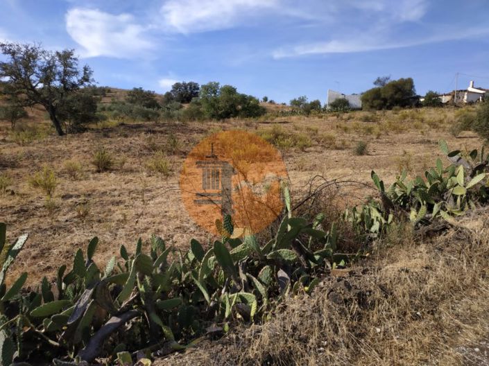 Image No.44-Commercial à vendre à Castro Marim