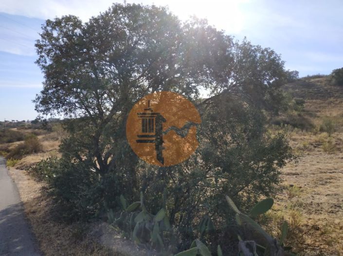 Image No.45-Commercial à vendre à Castro Marim