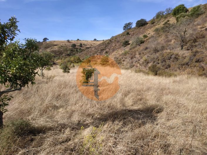 Image No.46-Commercial à vendre à Castro Marim