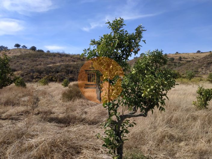 Image No.47-Commercial à vendre à Castro Marim