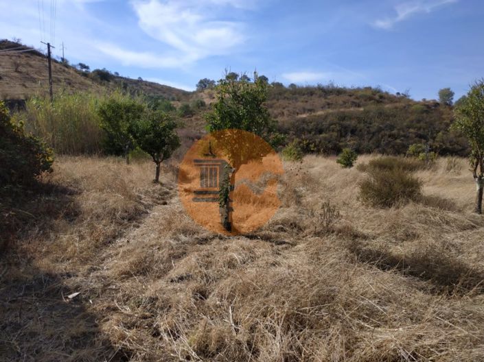 Image No.48-Commercial à vendre à Castro Marim