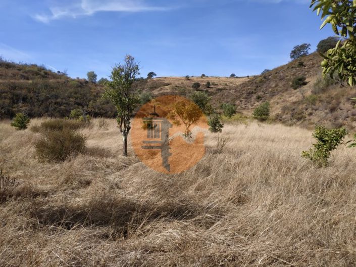 Image No.49-Commercial à vendre à Castro Marim