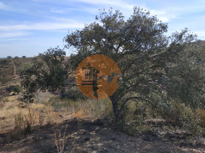 Image No.52-Commercial à vendre à Castro Marim