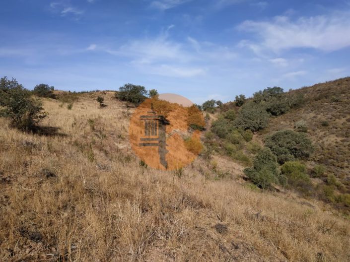 Image No.56-Commercial à vendre à Castro Marim