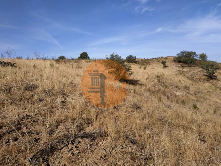 Image No.57-Commercial à vendre à Castro Marim