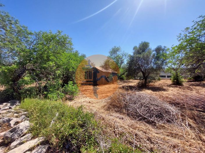 Image No.12-Plot for sale