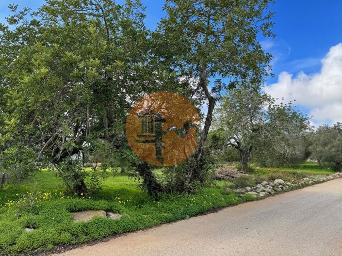 Image No.4-Plot for sale