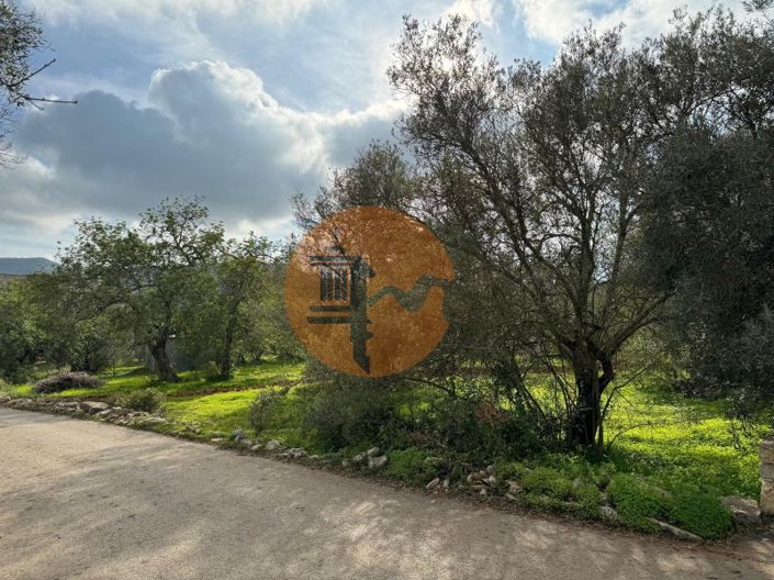 Image No.6-Plot for sale