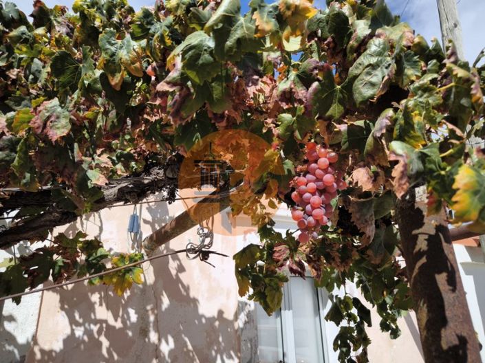 Image No.6-3 Bed House for sale