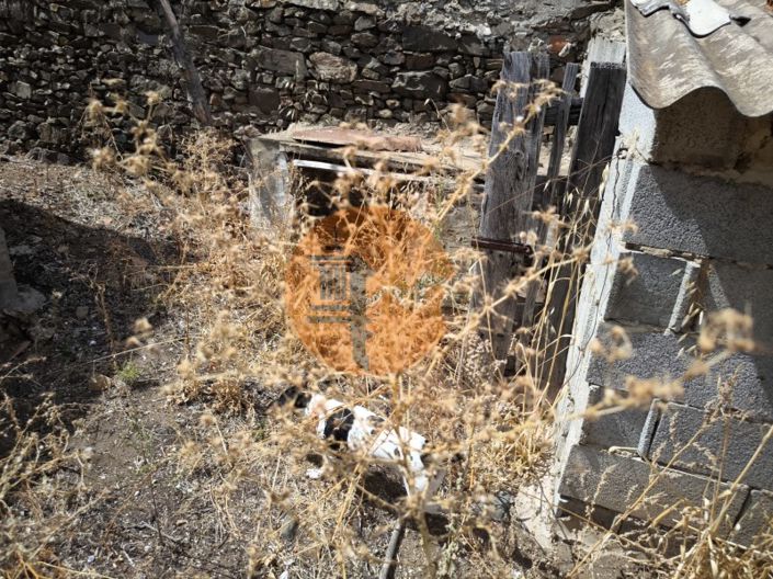 Image No.32-3 Bed House for sale