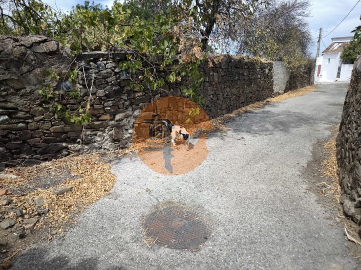 Image No.48-3 Bed House for sale