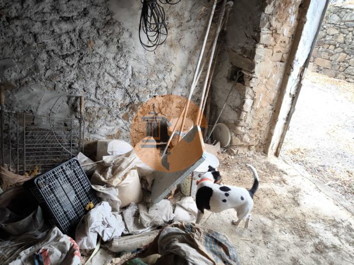 Image No.56-3 Bed House for sale