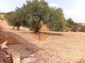 idf29f7a01-0000-0500-0000-000013a28c06