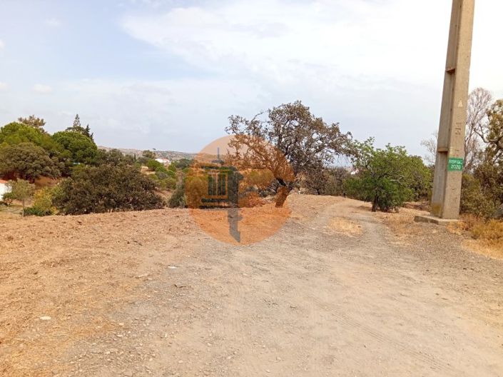 Image No.6-Plot for sale