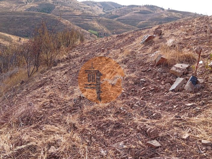 Image No.3-Terrain à vendre à Tavira