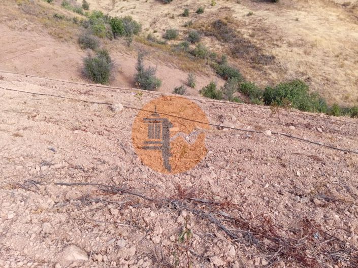 Image No.10-Terrain à vendre à Tavira