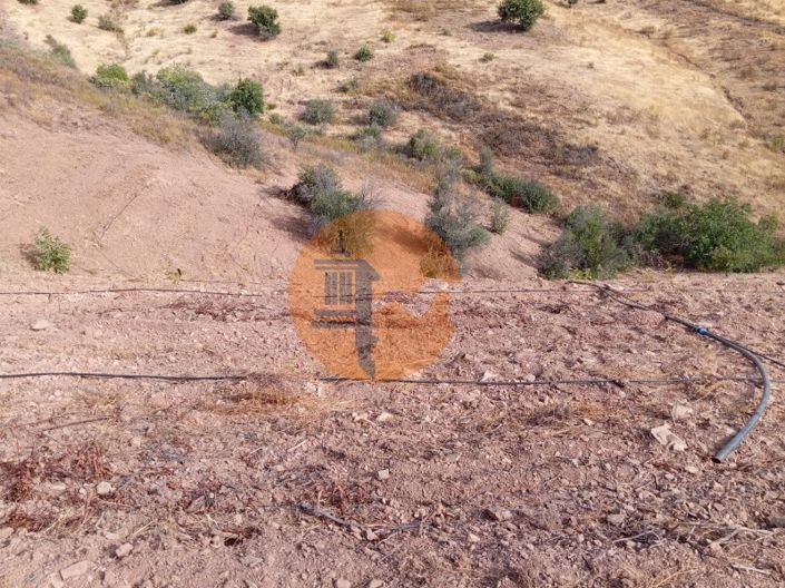 Image No.5-Terrain à vendre à Tavira