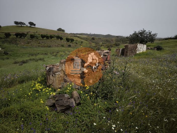 Image No.21-Plot for sale