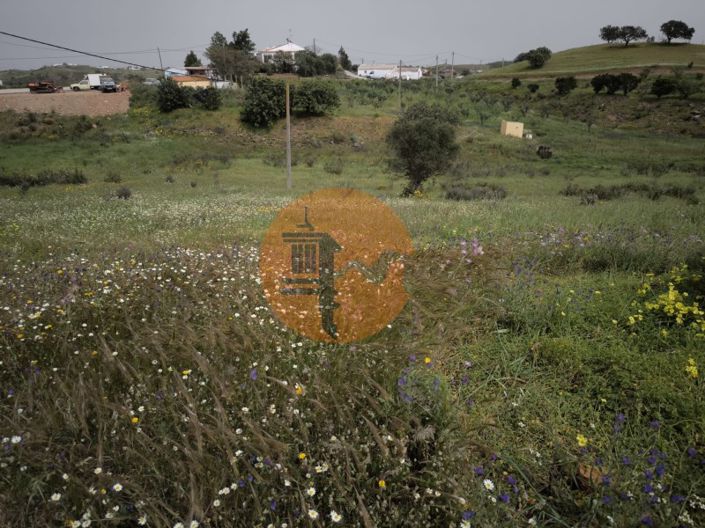 Image No.26-Plot for sale