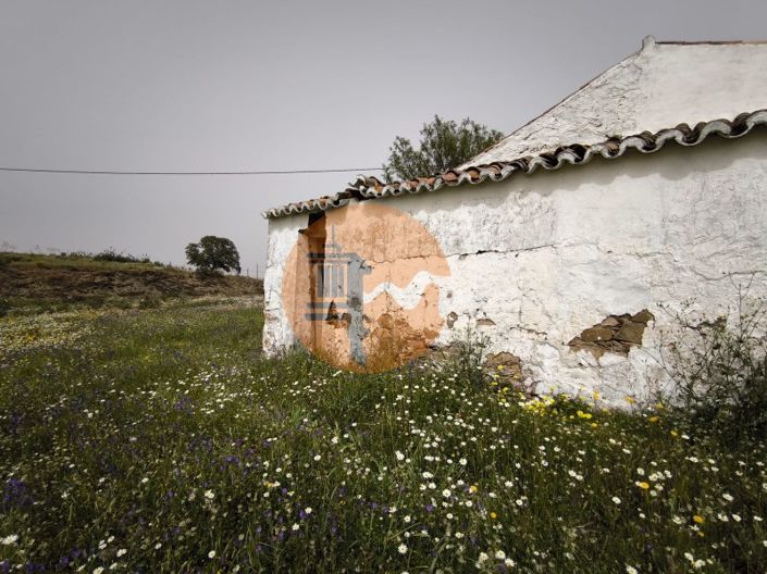 Image No.30-Plot for sale