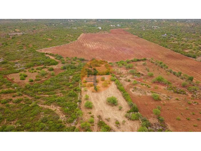 Image No.7-Ferme de 2 chambres à vendre à Tavira