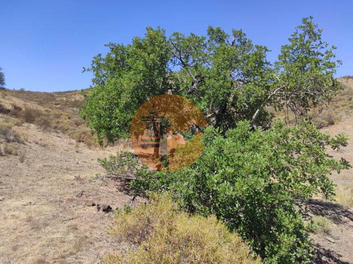 Image No.19-Plot for sale