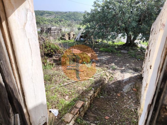 Image No.10-1 Bed House for sale