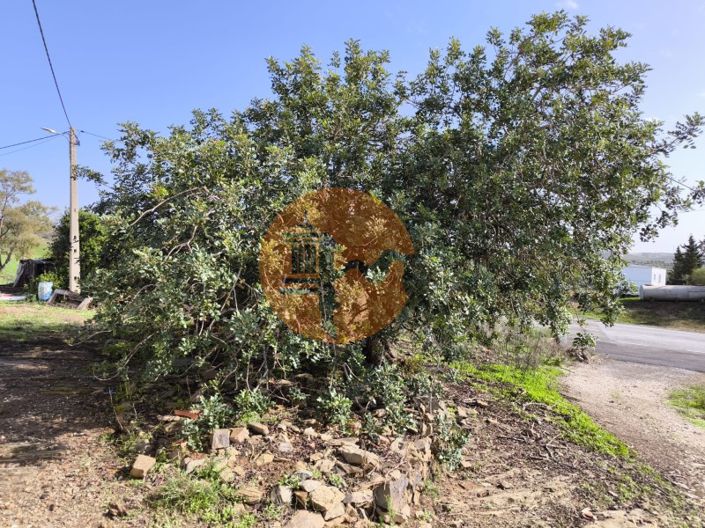 Image No.26-1 Bed House for sale