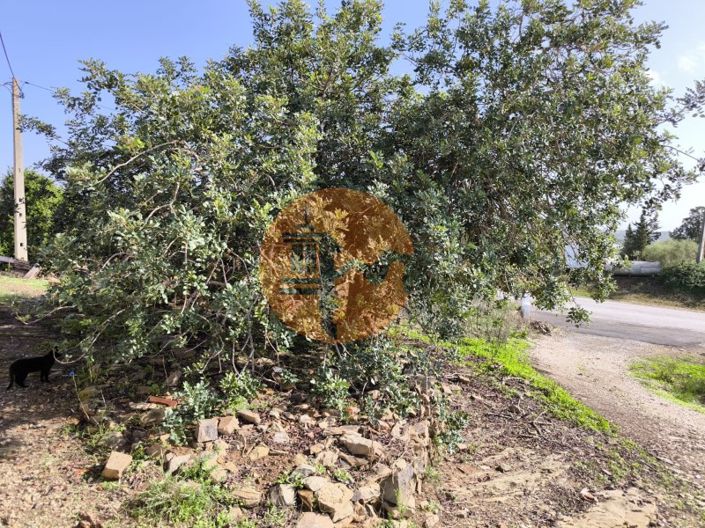 Image No.27-1 Bed House for sale