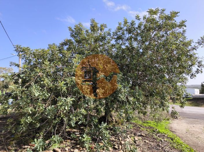 Image No.6-1 Bed House for sale