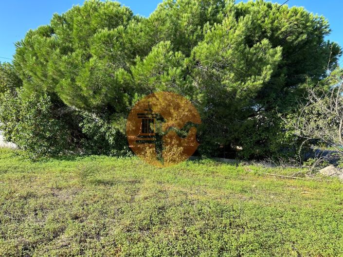 Image No.13-Terrain à vendre à Olhão