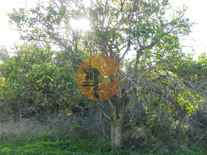 Image No.20-Plot for sale