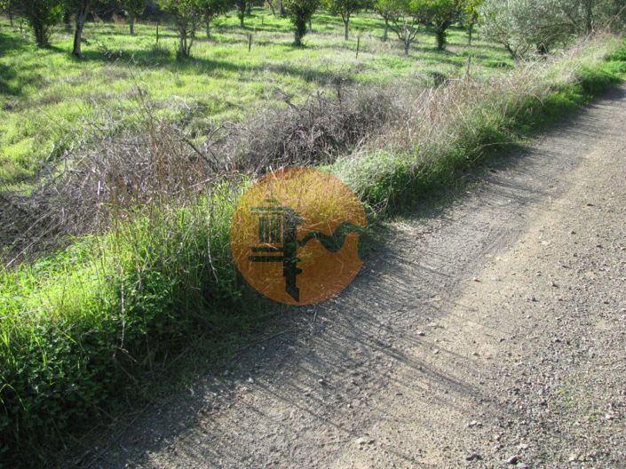 Image No.25-Plot for sale