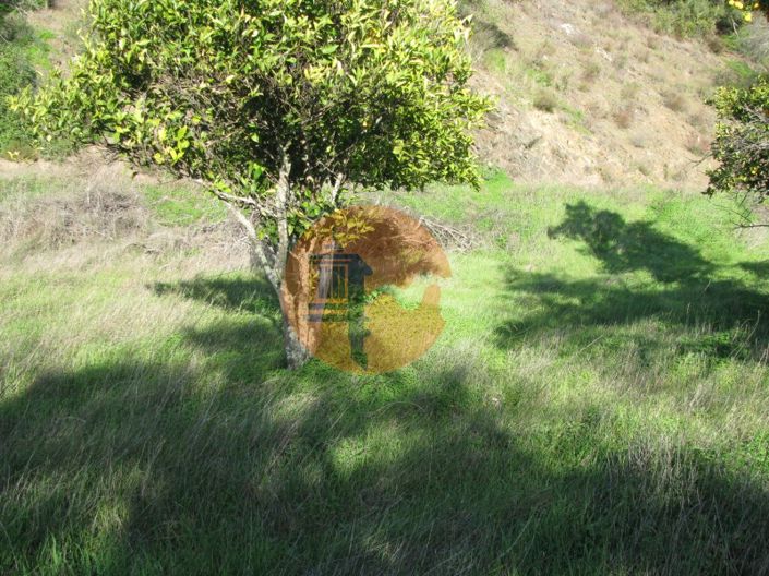 Image No.8-Plot for sale