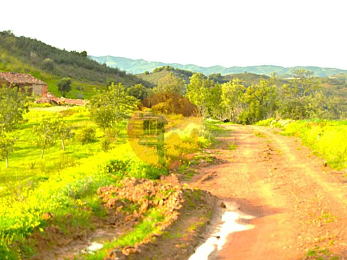 Image No.3-Plot for sale