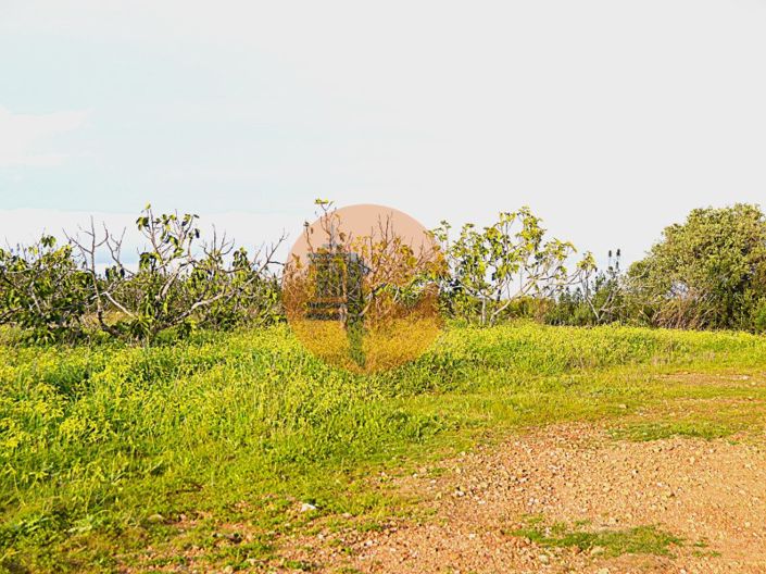 Image No.4-Plot for sale