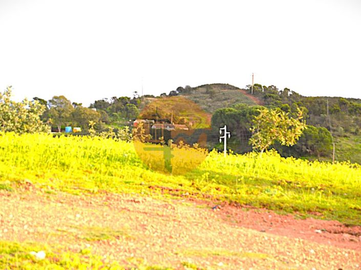 Image No.7-Plot for sale