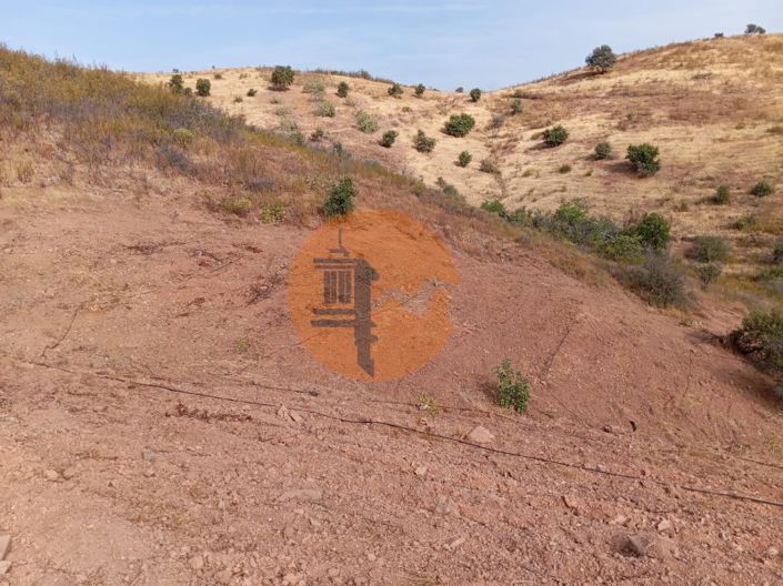 Image No.10-Plot for sale